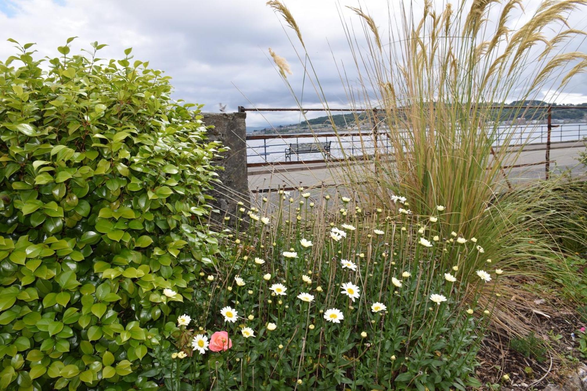 One Marine Place Port Bannatyne Exteriér fotografie